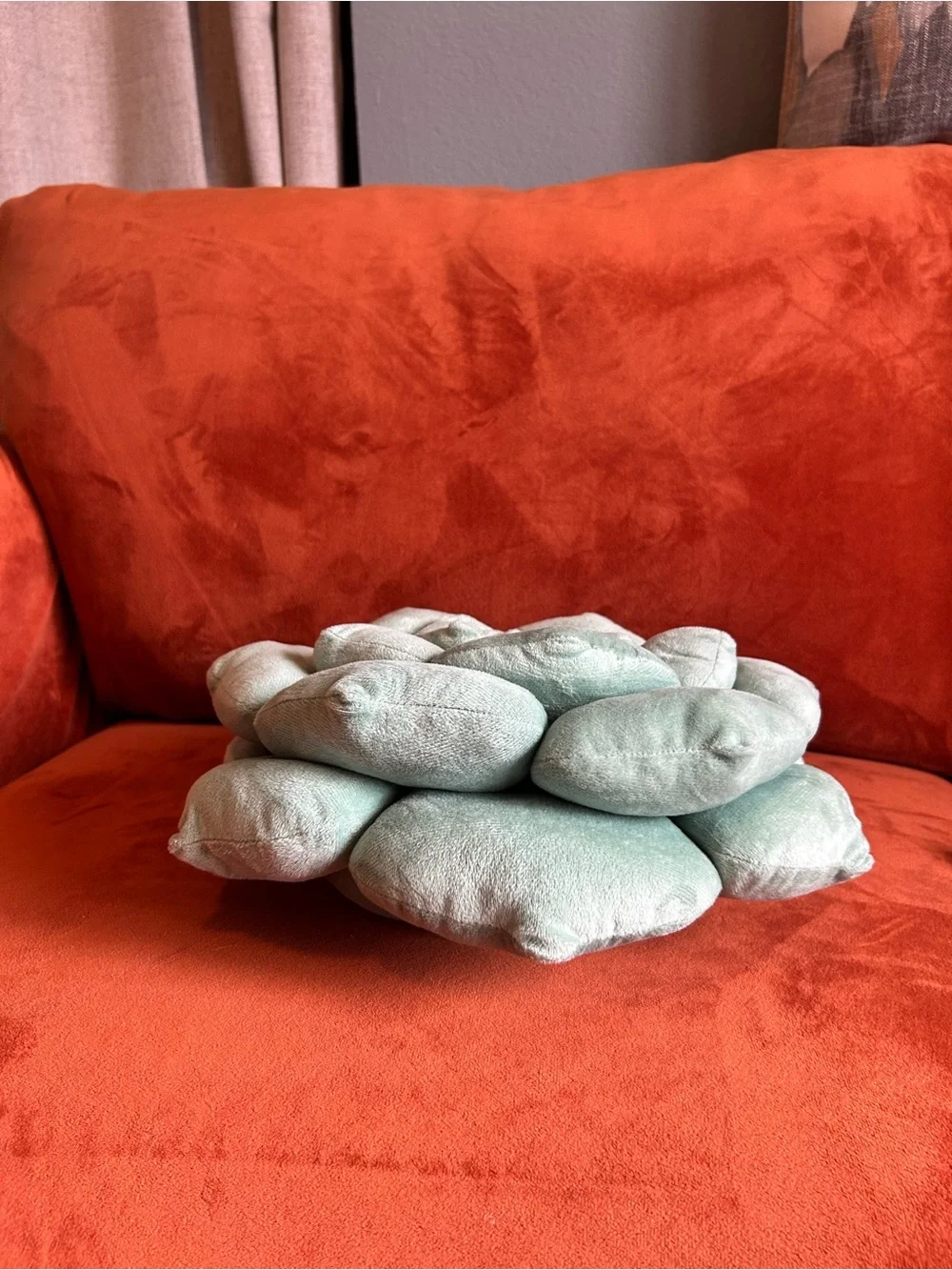 Audacious Hippo soft audacious